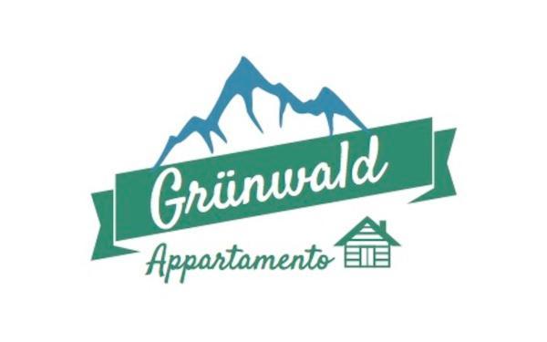 Appartamento Grunwald Брунико Экстерьер фото